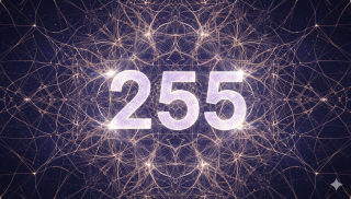 Angel Number 255