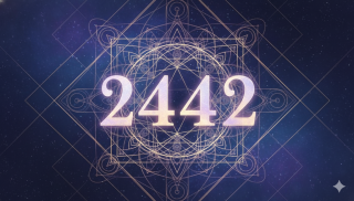 Angel Number 2442