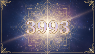 Angel Number 3993